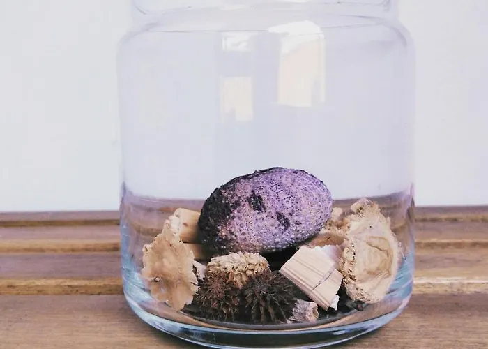 公寓 Carles Deluxe Ocean View